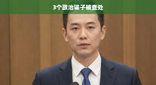 严厉打击政治骗子，维护社会正义—一起查处三个政治骗子的案件纪实