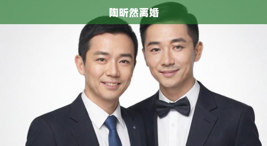 陶昕然离婚事件，深度解析与反思