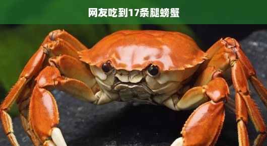 网友惊现巨型螃蟹，拥有不可思议的17条腿！