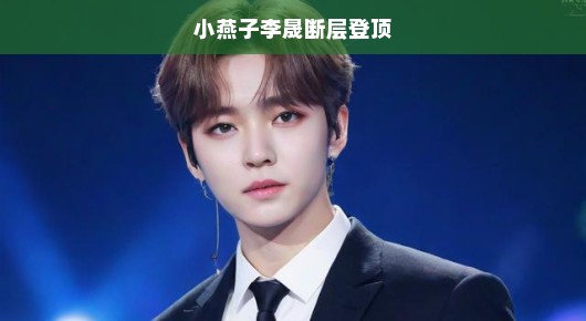 小燕子李晟断层登顶，闪耀星途的奇迹之旅