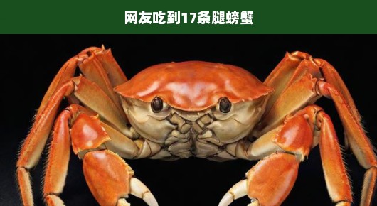 网友惊现巨型螃蟹，拥有不可思议的17条腿！