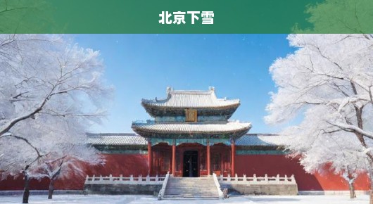 北京下雪了，期待与惊喜的交织