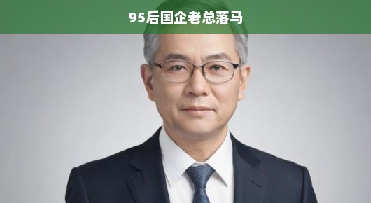 揭秘！95后国企老总落马事件深度剖析