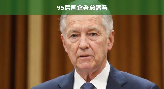 揭秘95后国企老总落马事件
