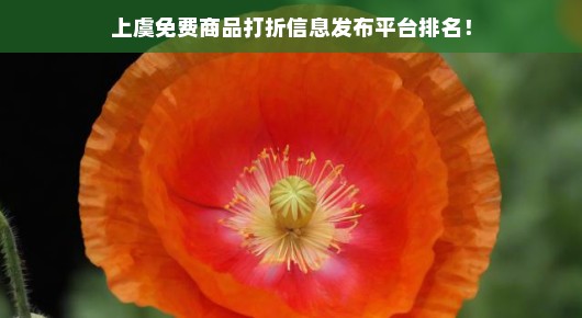 上虞免费商品打折信息发布平台排名
