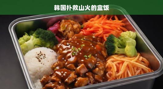韩国山火扑救中的盒饭力量