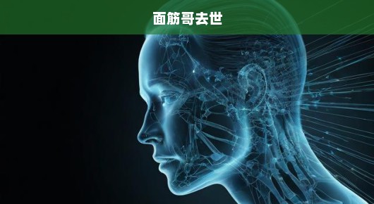 痛失面筋哥，怀念永恒的记忆