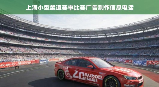 上海小型柔道赛事比赛广告制作信息电话—泓澜文化倾力呈现