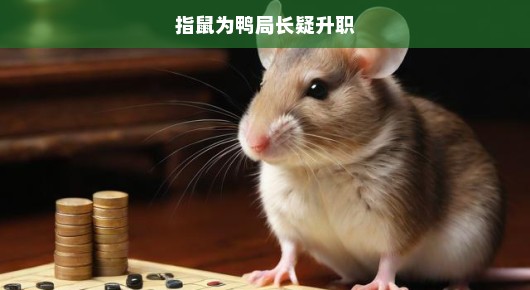 指鼠为鸭局长疑升职，真相与公众期待的博弈