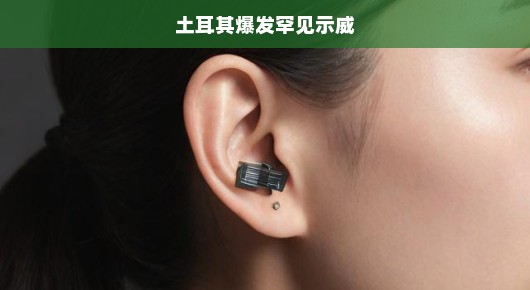 土耳其爆发罕见示威，国家面临严峻挑战