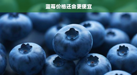 蓝莓价格即将破冰，你还等什么？