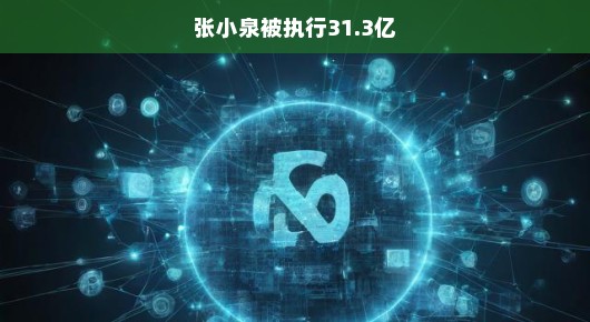 张小泉遭遇巨额执行，31.3亿背后的挑战与应对