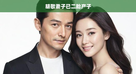 胡歌妻子已二胎产子，引发粉丝热议
