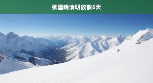 张雪峰清明放假五天的期待与反思