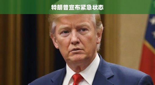 特朗普宣布紧急状态，危机时刻的决策与影响