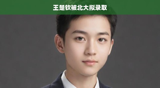 王楚钦被北大拟录取，天才少年的辉煌成就与未来展望