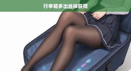 急诉！行李箱中意外发现丝袜，获赔之路揭秘