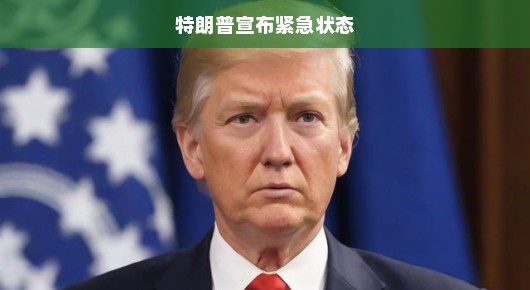 特朗普宣布紧急状态，危机时刻的决策与影响