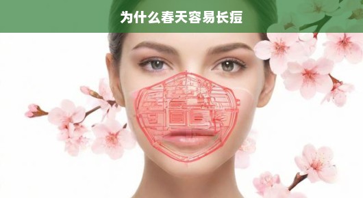 揭秘春天为何成为痘痘高发期？