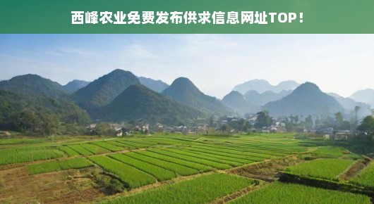 西峰农业免费发布供求信息网址TOP