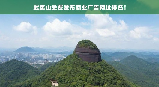 武夷山免费发布商业广告网址排名解析