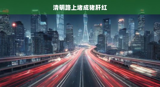 清明路上堵成猪肝红—城市拥堵现象的思考