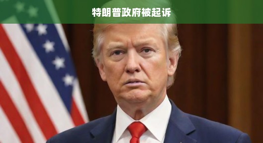 特朗普政府遭起诉，美国政治风波再起