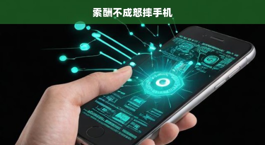 索酬不成引发激烈冲突，愤怒之下怒摔手机