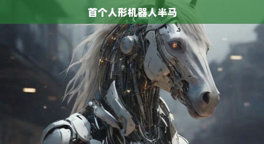 首个人形机器人半马，突破科技极限的挑战者