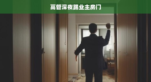 高管深夜踢业主房门，事件背后的真相与反思