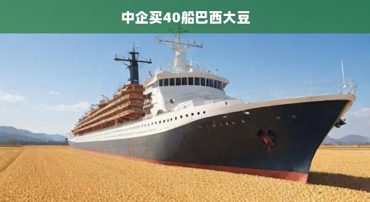 中企急购40艘船只装载巴西大豆，跨国粮食交易的新篇章