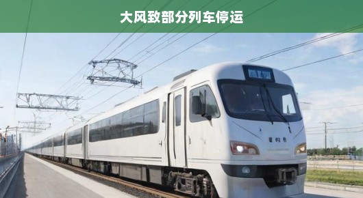 大风致部分列车停运，紧急应对与影响分析