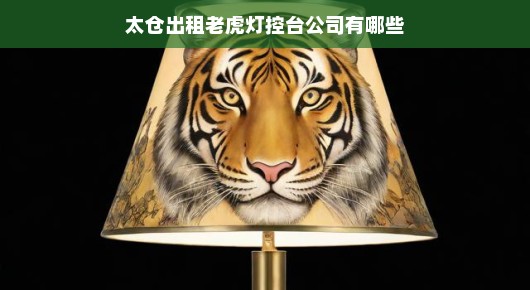 太仓出租老虎灯控台公司概览