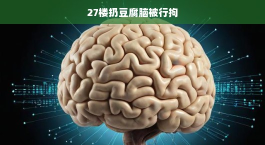 高空抛物危险重重，27楼扔豆腐脑引发行政拘留事件