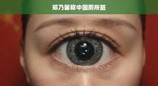 郑乃馨眼中的中国厕所现状，脏乱现象亟待改善
