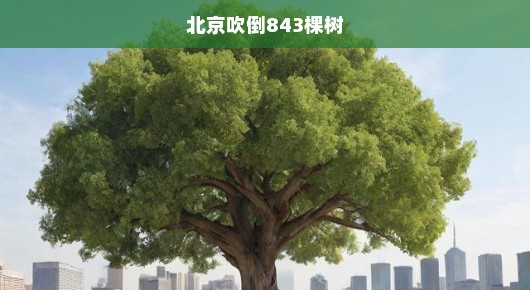 北京遭遇罕见风暴，843棵树遭不幸吹倒—城市的绿色呼唤更坚强的守护
