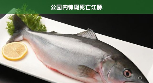 公园内惊现死亡江豚，呼唤保护行动的时刻