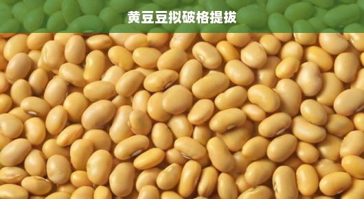 黄豆豆拟破格提拔，英才崛起，时代呼唤英才的壮举