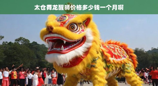 太仓舞龙醒狮表演的价格分析