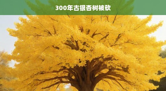 愤怒与悲痛，一棵千年古银杏树的悲惨命运