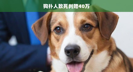 狗扑人致死事件引发关注，判赔高达40万！