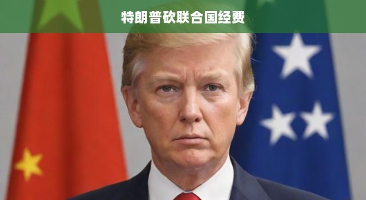 特朗普砍向联合国经费，全球合作与大国责任的思考