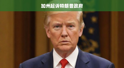 加州急诉特朗普政府，捍卫权利与公正的挑战