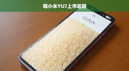 小米YU7手机上市逾期，引发市场热议与关注