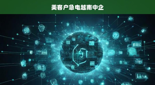 美客户急电越南中企，跨越时空的紧急合作挑战