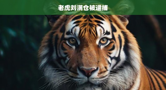 老虎刘满仓被逮捕，震惊之余的深思