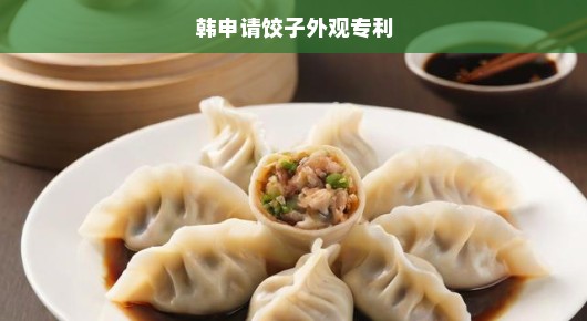 韩申请饺子外观专利，传统美食背后的知识产权保护挑战