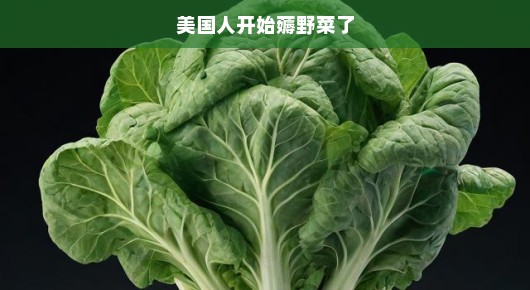 美国人的野菜热潮，一场突如其来的生活变革