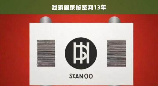 泄露国家秘密罪判十三年，法律红线不容触碰