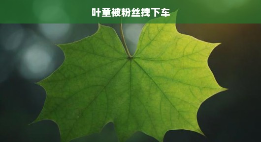 叶童遭遇惊魂瞬间，粉丝热情过火引发惊险事件